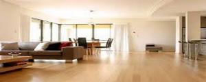 Bamboo Flooring3