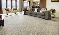 carpet galery pic